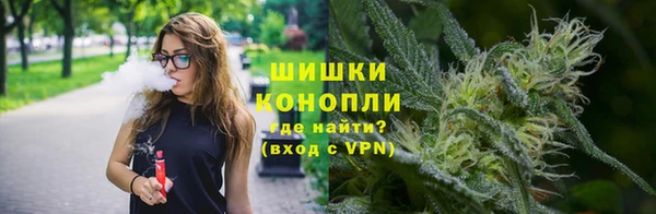 дживик Касимов