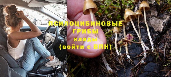 дживик Касимов