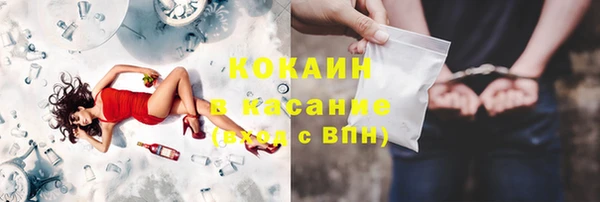 дживик Касимов