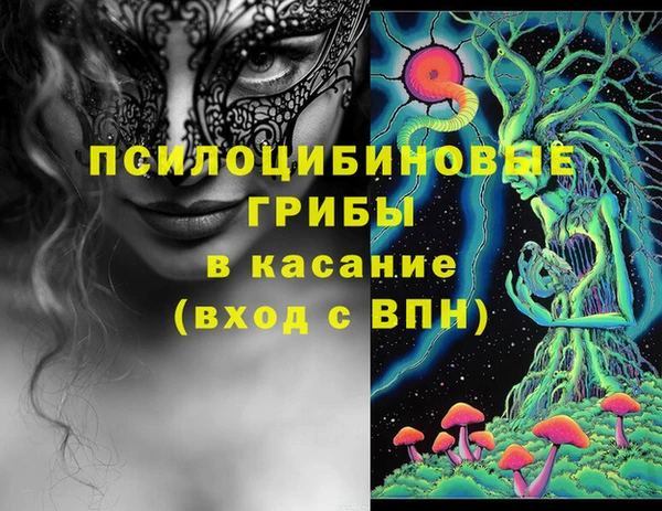 дживик Касимов