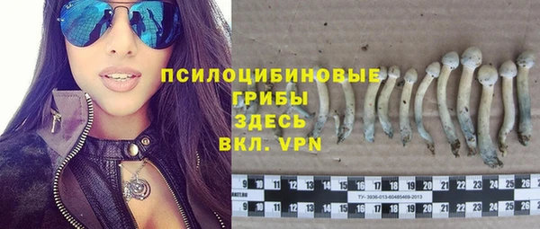 кристаллы Карпинск