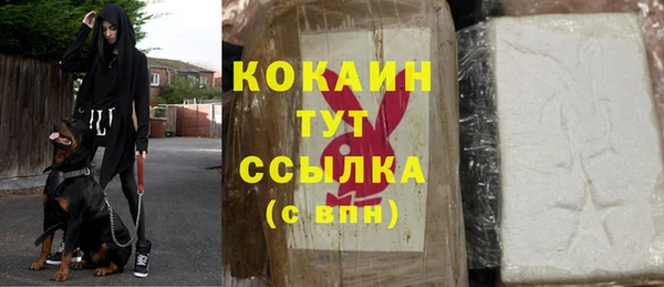 дживик Касимов