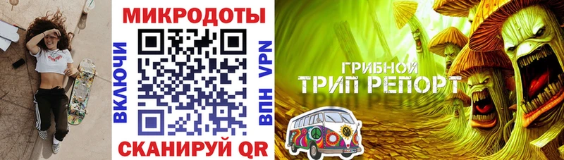 Псилоцибиновые грибы MAGIC MUSHROOMS  Купить закладки  Котлас 